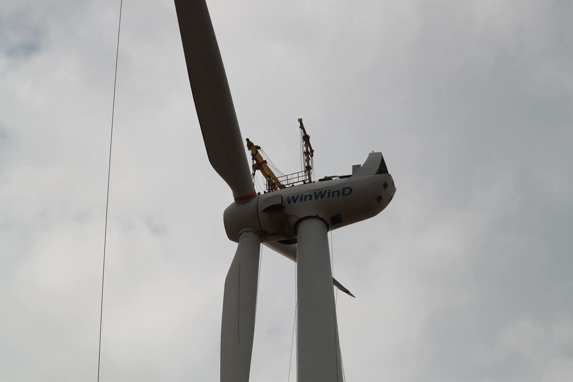 Wind Fan